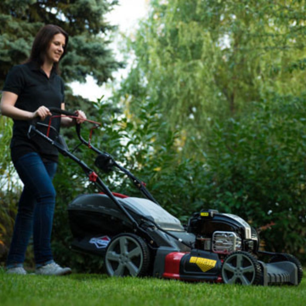 MOTOR BRIGGS & STRATTON 750EX 161CC DOV