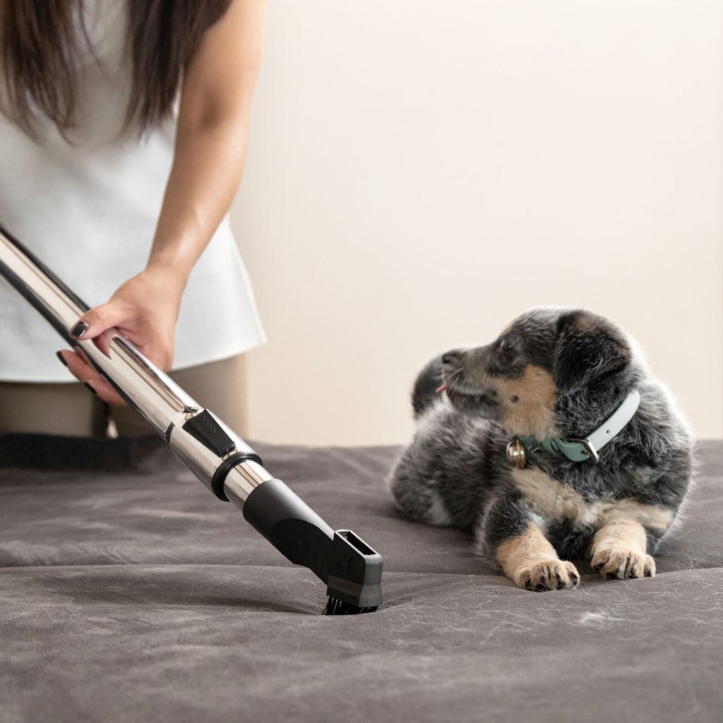 ASPIRADORA KÄRCHER VCL 3 CYCLONIC