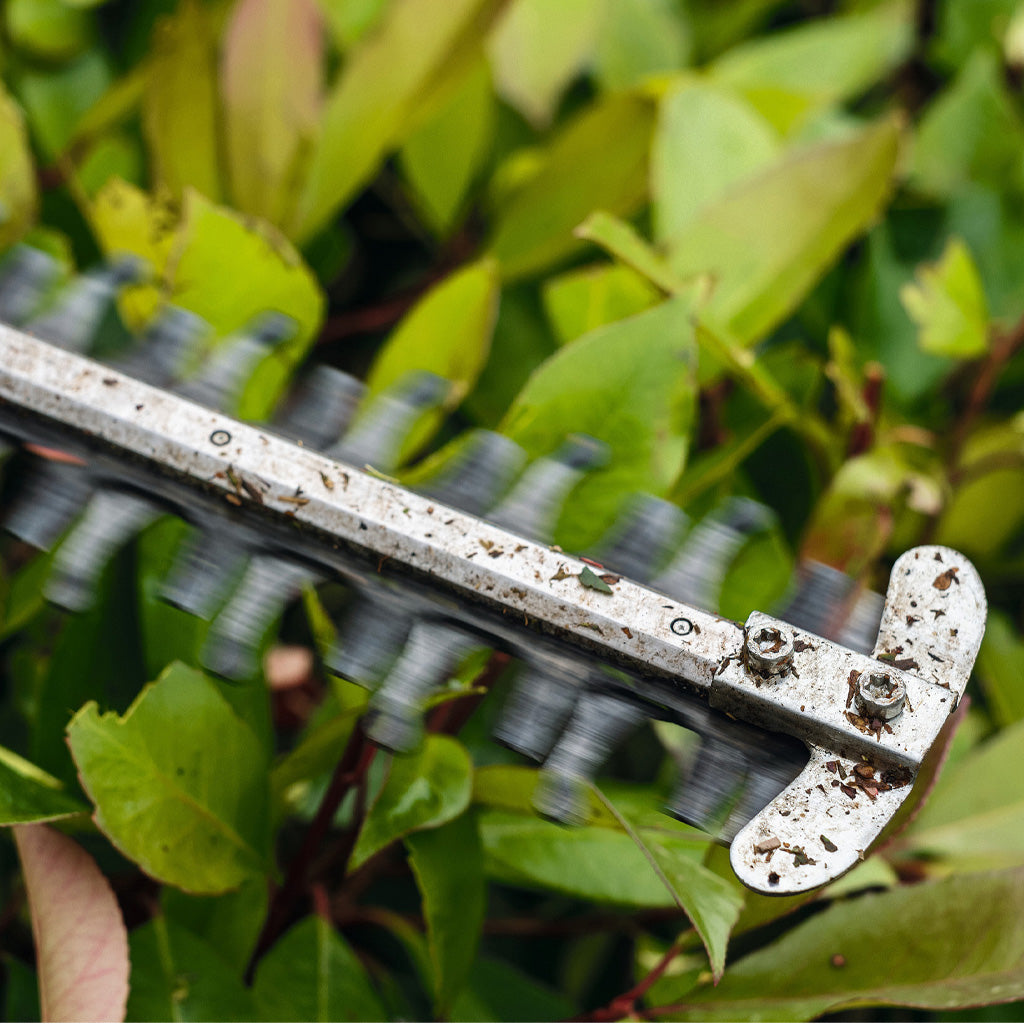 CORTA SETOS A BATERÍA STIHL HSA 56 S/ BATERÍA